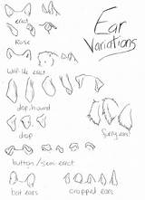 Ears Dog Drawing Ear Animal Wolf Draw Tips Canine Drawings Furry Guide Reference Fursuit Deviantart Animals Dogs Shape Step Variations sketch template