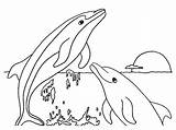 Dolphin Coloring Pages Printable Kids Dolphins Color sketch template
