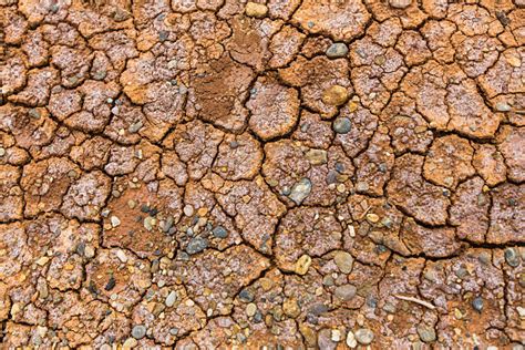 loamy soil  stock  pictures royalty  images istock