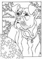 Boxer Coloring Pages Dog Colouring Dogs Sheets Kleurplaat Print Kids Adult German Edupics Pointer Color Boxers Puppy Printable Shorthaired Colour sketch template