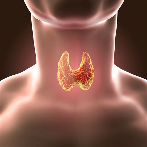 thyroid nodules diagnosis thyroid nodules treatment