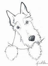 Dog Scottie Sketch Drawing Coloring Terrier Scottish Drawings Print Niles Kim Clip Line Pocket Choose Board Cartoon Surprising Canvas sketch template