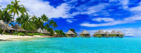 bora bora french polynesia and over water bungalows palm