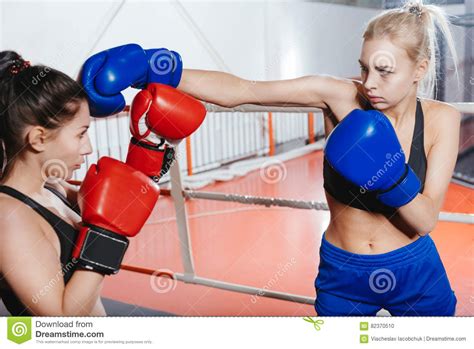 women wearing boxing gloves hot girl hd wallpaper