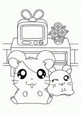 Coloring Pages Hamtaro Room Living Kids Cute Colouring Pashmina Penelope Drawing Color Choose Board Picgifs sketch template