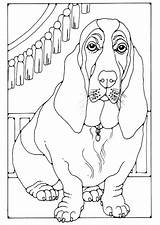 Coloring Basset Hound Dog Puppy Edupics Printable Getcolorings Bloodhound Pdf Dogs Legs Sheets Short sketch template