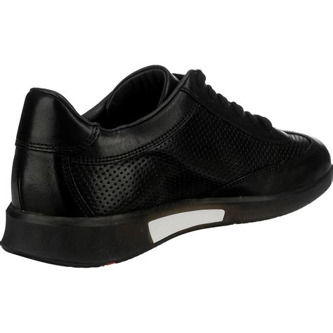 lloyd bristol sneakers  schwarz mirapodo