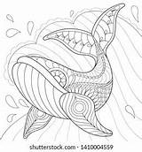 Whale Relaxing sketch template