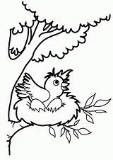 Nest Coloring Bird Cartoon Clipart Pages Drawing Library Color sketch template
