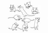 Gerbil Drawing Mouse Vector Animal Getdrawings Drawings Lab Edit sketch template
