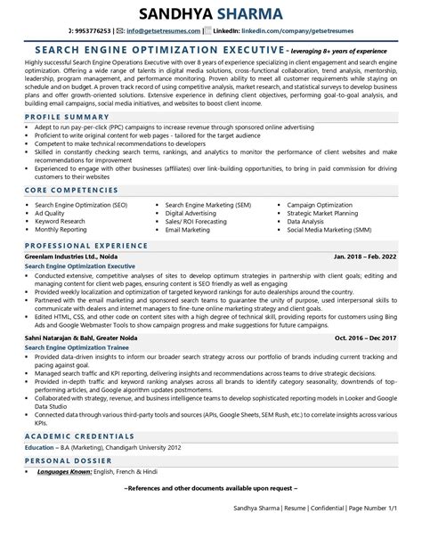 search engine optimization executive resume examples template