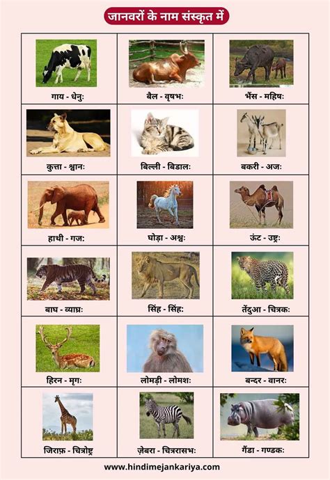 sanskrit animals