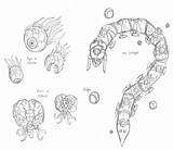 Terraria Coloring Pages Boss Concept Destroyer Drawings Deviantart Via Tag Template sketch template