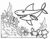 Shark Coral Baby Reefs Coloring sketch template