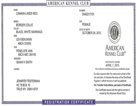 meg akc registration certificate canaan land border collies