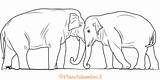 Colorare Elefanti Elefante Pianetabambini Sagoma Disegno sketch template