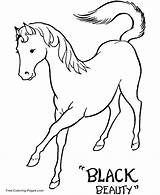 Coloring Pages Horses Horse Book Color sketch template