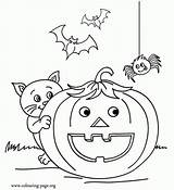 Coloring Pumpkin Preschoolers Pages Print sketch template