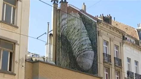 Video Un Pénis Géant Peint Sur Un Mur Embarrasse Bruxelles