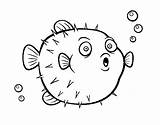 Pufferfish Coloring Fish Pages Coloringcrew Tropical Print Sea sketch template