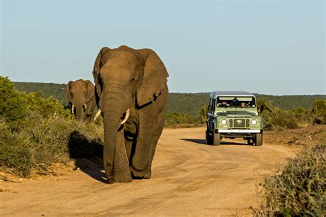 nine weeks nine provinces south african tourism gears up for roadshow
