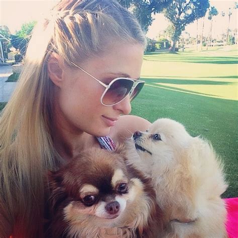 Ego Paris Hilton Relaxa Sobre A Grama Com As Suas Três Cachorrinhas