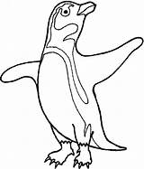 Penguin Coloring Pages Clipart Penguins Animals Cartoon Color Animal Printable African Cliparts Template Cute Antarctic Clip Print Templates Google Clipground sketch template