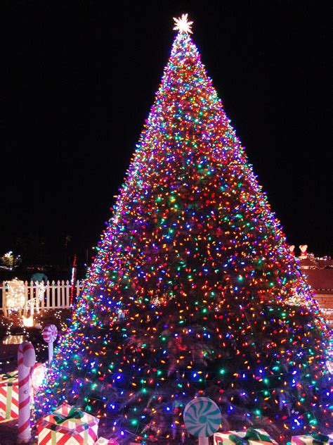 awesome  dazzling christmas tree lights ideas awesome