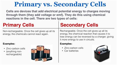difference  primary  secondary cells definition structure