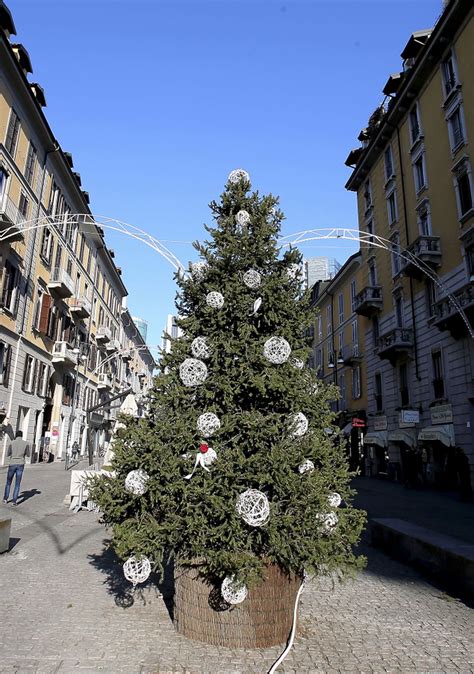 Sex Toy Xxxmas Tree Comes Down Milan Officials New York