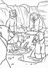 Bear Brother Coloring Kids Pages Disney sketch template