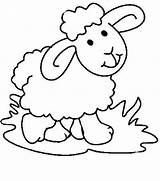 Sheep Coloring Cute Baby Pages Lamb Preschool Clipart Schaf Color Ausdrucken Schafe Cartoon Zum Ausmalbilder Getcolorings Getdrawings Clipartmag Printable Auswählen sketch template