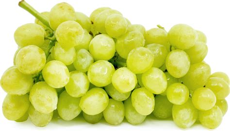 green seedless grapes information recipes  facts