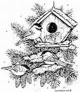 Coloring Wood Burning Pages Patterns Birdhouse Bird Adult Christmas Stamps Chickadee Rubber Tracing Books Adults Northwoods Noel Ink Mounted Trio sketch template