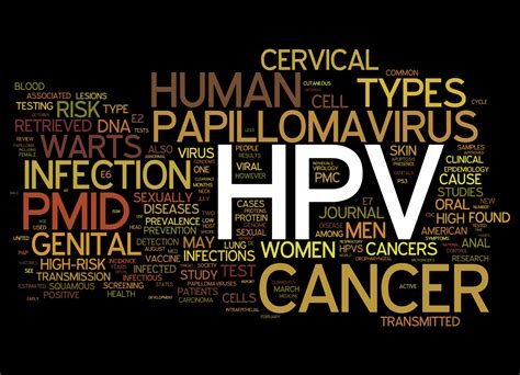 human papillomavirus hpv infection transmission  increase skin