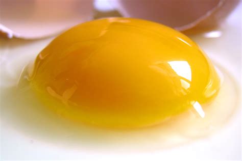 meaning  symbolism   word egg yolk
