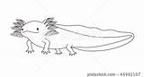 Axolotl Wooper Rolled sketch template