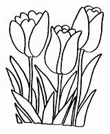 Coloring Pages Flowers Flower Color Colouring Sheets Printable Print Previous Kid Tulip sketch template