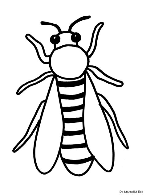 kleurplaat insecten printen