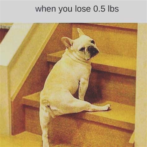 118 Of The Funniest Weight Loss And Diet Memes Bored Panda