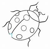 Ladybug Drawing Draw Ladybird Simple Easy Line Drawings Beetle Step Paintingvalley Shell Lines sketch template