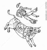 Bullfighter Bull Matador Enraged Corrida Toros sketch template