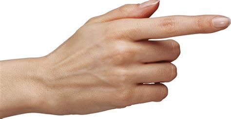 hand png weds   hands people png  freepn vrogueco