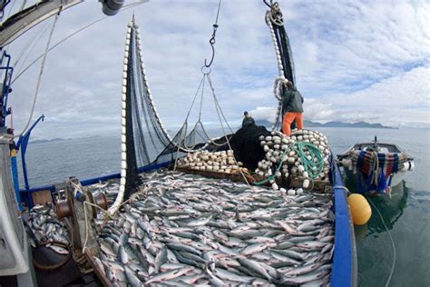 licitar  de la pesca industrial la tercera