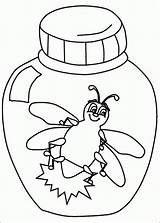 Coloring Bug Pages Bugs Lightning Firefly Color Clipart Preschool Animals Pill Ladybug Printable Template Firefly2 Kids Bolt Drawing Pennsylvania Insect sketch template