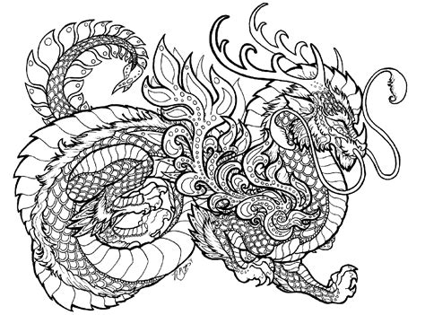 dragon coloring pages  adults printable wuvq