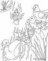 Ugly Duckling Coloring Pages Ducklings Way Make Tale Andersen Fairy Tales Hellokids Color Clipart Clip Printable Print Colouring Story Book sketch template