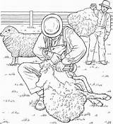 Shaving Furr Sheep Doghousemusic sketch template