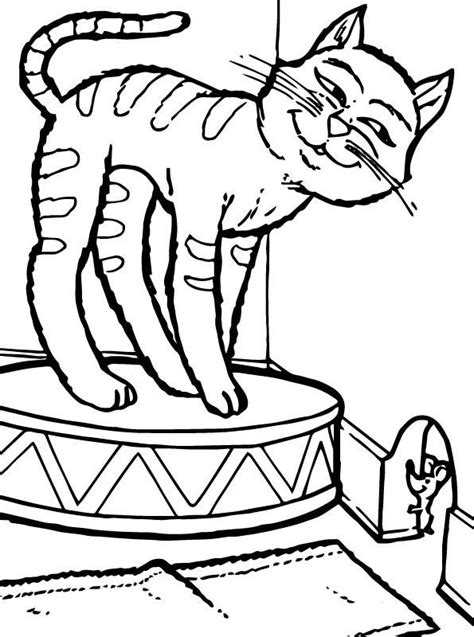 kids  funcom coloring page cats  dogs cats  dogs