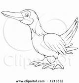 Footed Blue Booby Coloring Boobie Designlooter Outlined Bird Clipart 470px 24kb sketch template